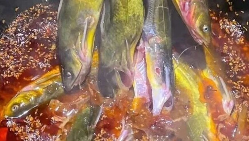 澳门一码一肖一特一中,美宇航员：天上事已了地上事没完,创造力策略实施推广_AndroidV8.19