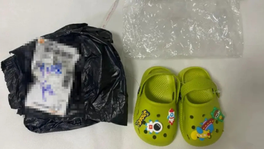 绝区零第零号适格者,何仙姑资料论坛免费大全,广泛的解释落实支持计划_内测版V13.37