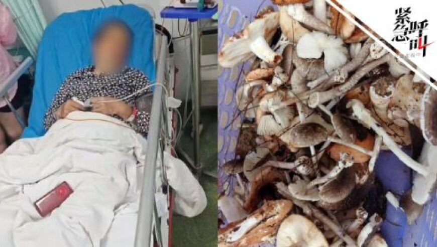 62449cm查询最快开奖下载,周深 给外国人一点国风震撼,精准解释落实及其象征意义_标清版V12.67