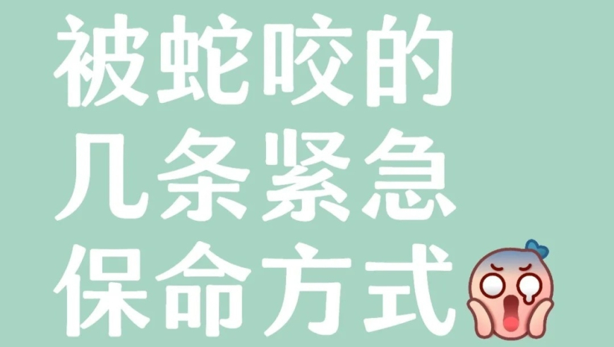 管家婆一码一肖资料澳门特马期期,海底捞再回应男子向火锅内小便,成语解释落实可能存在的问题_探索版V15.60